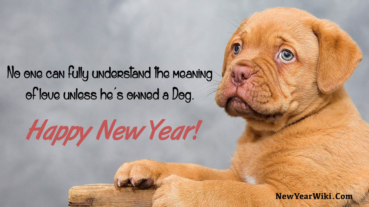 Happy New Year Dog Pictures New Year 2024 Puppy Images New Year Wiki