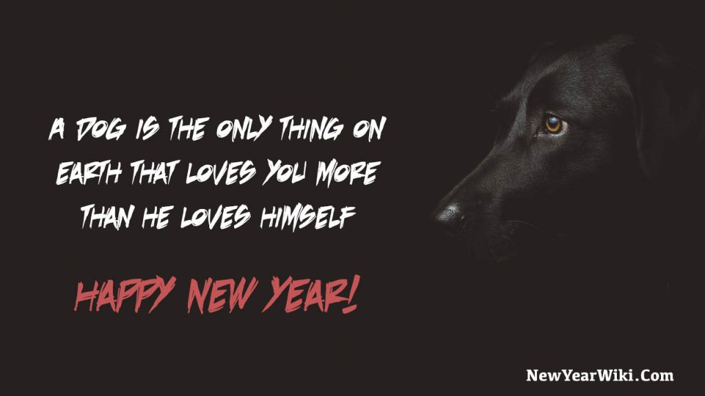 Happy New Year Dog Pictures New Year 2024 Puppy Images New Year Wiki