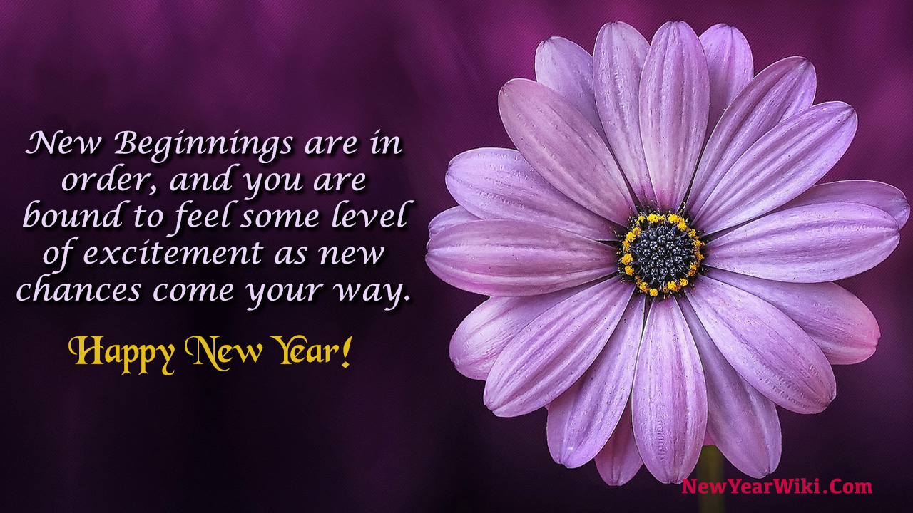 New Year New You Quotes 2025 New Year Wiki